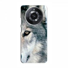 Чехлы с картинками животных RealMe 11 Волк - купить на Floy.com.ua