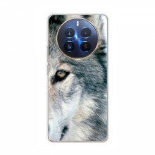 Чехлы с картинками животных RealMe 12 Pro Волк - купить на Floy.com.ua