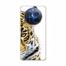 Чехлы с картинками животных RealMe 12 Pro Леопард - купить на Floy.com.ua
