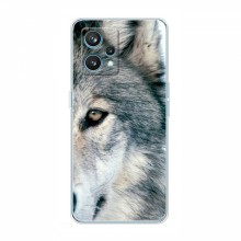 Чехлы с картинками животных RealMe 9 Волк - купить на Floy.com.ua