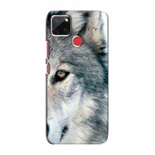 Чехлы с картинками животных RealMe C12 Волк - купить на Floy.com.ua