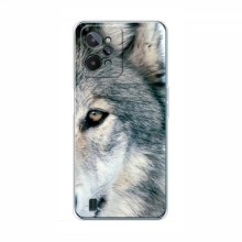 Чехлы с картинками животных RealMe C31 Волк - купить на Floy.com.ua