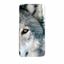 Чехлы с картинками животных RealMe C65 Волк - купить на Floy.com.ua