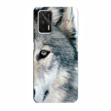Чехлы с картинками животных RealMe GT Волк - купить на Floy.com.ua
