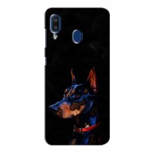 Чехлы с картинками животных Samsung Galaxy A20 2019 (A205F) Собака - купить на Floy.com.ua