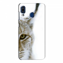 Чехлы с картинками животных Samsung Galaxy A20 2019 (A205F) Рысь - купить на Floy.com.ua
