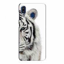 Чехлы с картинками животных Samsung Galaxy A20 2019 (A205F) Белый Тигр - купить на Floy.com.ua