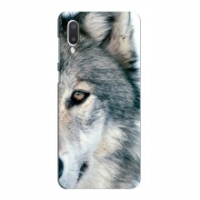 Чехлы с картинками животных Samsung Galaxy A02 (A022) Волк - купить на Floy.com.ua