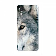 Чехлы с картинками животных Samsung Galaxy A03 Core Волк - купить на Floy.com.ua