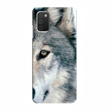 Чехлы с картинками животных Samsung Galaxy A03s Волк - купить на Floy.com.ua