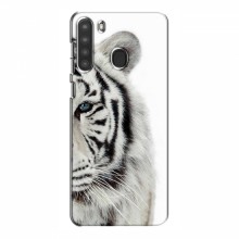 Чехлы с картинками животных Samsung Galaxy A21 (A215) Белый Тигр - купить на Floy.com.ua