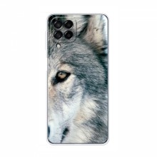 Чехлы с картинками животных Samsung Galaxy A22 5G Волк - купить на Floy.com.ua