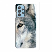 Чехлы с картинками животных Samsung Galaxy A23 Волк - купить на Floy.com.ua