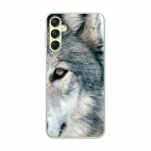 Чехлы с картинками животных Samsung Galaxy A24 Волк - купить на Floy.com.ua