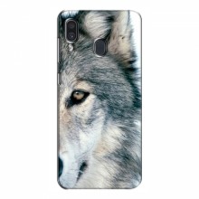 Чехлы с картинками животных Samsung Galaxy A30 2019 (A305F) Волк - купить на Floy.com.ua