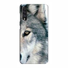 Чехлы с картинками животных Samsung Galaxy A30s (A307) Волк - купить на Floy.com.ua