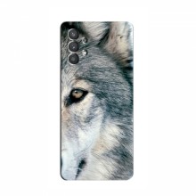 Чехлы с картинками животных Samsung Galaxy A32 Волк - купить на Floy.com.ua