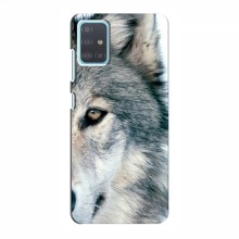 Чехлы с картинками животных Samsung Galaxy A51 5G (A516) Волк - купить на Floy.com.ua
