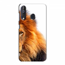 Чехлы с картинками животных Samsung Galaxy A60 2019 (A605F) Лев грива - купить на Floy.com.ua