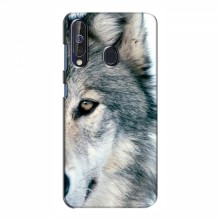 Чехлы с картинками животных Samsung Galaxy A60 2019 (A605F) Волк - купить на Floy.com.ua