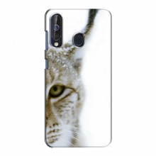 Чехлы с картинками животных Samsung Galaxy A60 2019 (A605F) Рысь - купить на Floy.com.ua