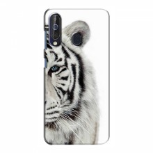 Чехлы с картинками животных Samsung Galaxy A60 2019 (A605F) Белый Тигр - купить на Floy.com.ua