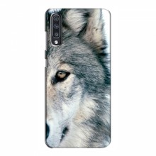 Чехлы с картинками животных Samsung Galaxy A70 2019 (A705F) Волк - купить на Floy.com.ua