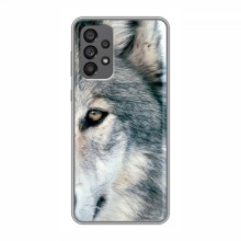 Чехлы с картинками животных Samsung Galaxy A73 (5G) Волк - купить на Floy.com.ua