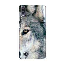 Чехлы с картинками животных Samsung Galaxy M10 Волк - купить на Floy.com.ua
