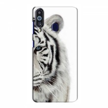 Чехлы с картинками животных Samsung Galaxy M40 Белый Тигр - купить на Floy.com.ua
