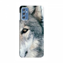 Чехлы с картинками животных Samsung Galaxy M52 Волк - купить на Floy.com.ua