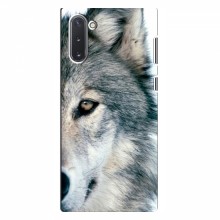 Чехлы с картинками животных Samsung Galaxy Note 10 Волк - купить на Floy.com.ua