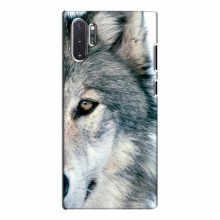 Чехлы с картинками животных Samsung Galaxy Note 10 Plus Волк - купить на Floy.com.ua