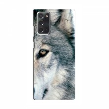 Чехлы с картинками животных Samsung Galaxy Note 20 Волк - купить на Floy.com.ua