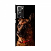 Чехлы с картинками животных Samsung Galaxy Note 20 Ultra Овчарка - купить на Floy.com.ua