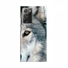 Чехлы с картинками животных Samsung Galaxy Note 20 Ultra Волк - купить на Floy.com.ua