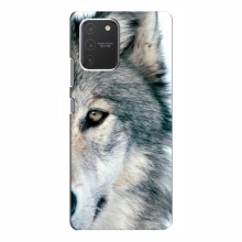 Чехлы с картинками животных Samsung Galaxy S10 Lite Волк - купить на Floy.com.ua