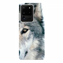 Чехлы с картинками животных Samsung Galaxy S20 Ultra Волк - купить на Floy.com.ua