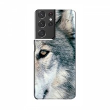Чехлы с картинками животных Samsung Galaxy S21 Plus Волк - купить на Floy.com.ua