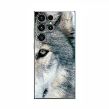Чехлы с картинками животных Samsung Galaxy S23 Ultra Волк - купить на Floy.com.ua