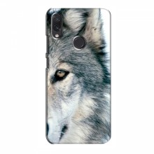 Чехлы с картинками животных Samsung Galaxy M01s Волк - купить на Floy.com.ua