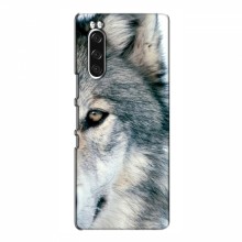 Чехлы с картинками животных Sony Xperia 5 II Волк - купить на Floy.com.ua