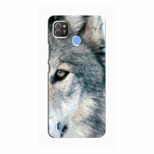 Чехлы с картинками животных TECNO Pop 4 LTE Волк - купить на Floy.com.ua