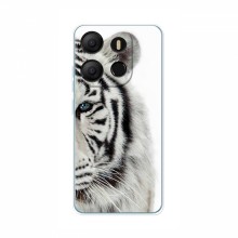 Чехлы с картинками животных TECNO Pop 7 Белый Тигр - купить на Floy.com.ua