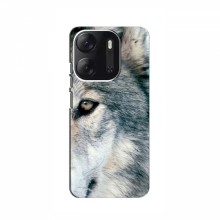 Чехлы с картинками животных TECNO Pop 7 Pro Волк - купить на Floy.com.ua