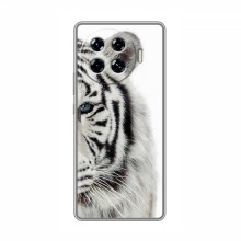 Чехлы с картинками животных TECNO Spark 20 Pro Plus Белый Тигр - купить на Floy.com.ua