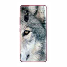Чехлы с картинками животных ViVO V15 Pro Волк - купить на Floy.com.ua
