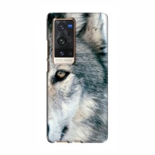 Чехлы с картинками животных ViVO X60 Pro Plus Волк - купить на Floy.com.ua