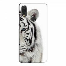 Чехлы с картинками животных ViVO Y11 Белый Тигр - купить на Floy.com.ua
