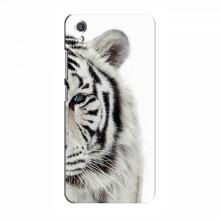 Чехлы с картинками животных ViVO Y1s Белый Тигр - купить на Floy.com.ua
